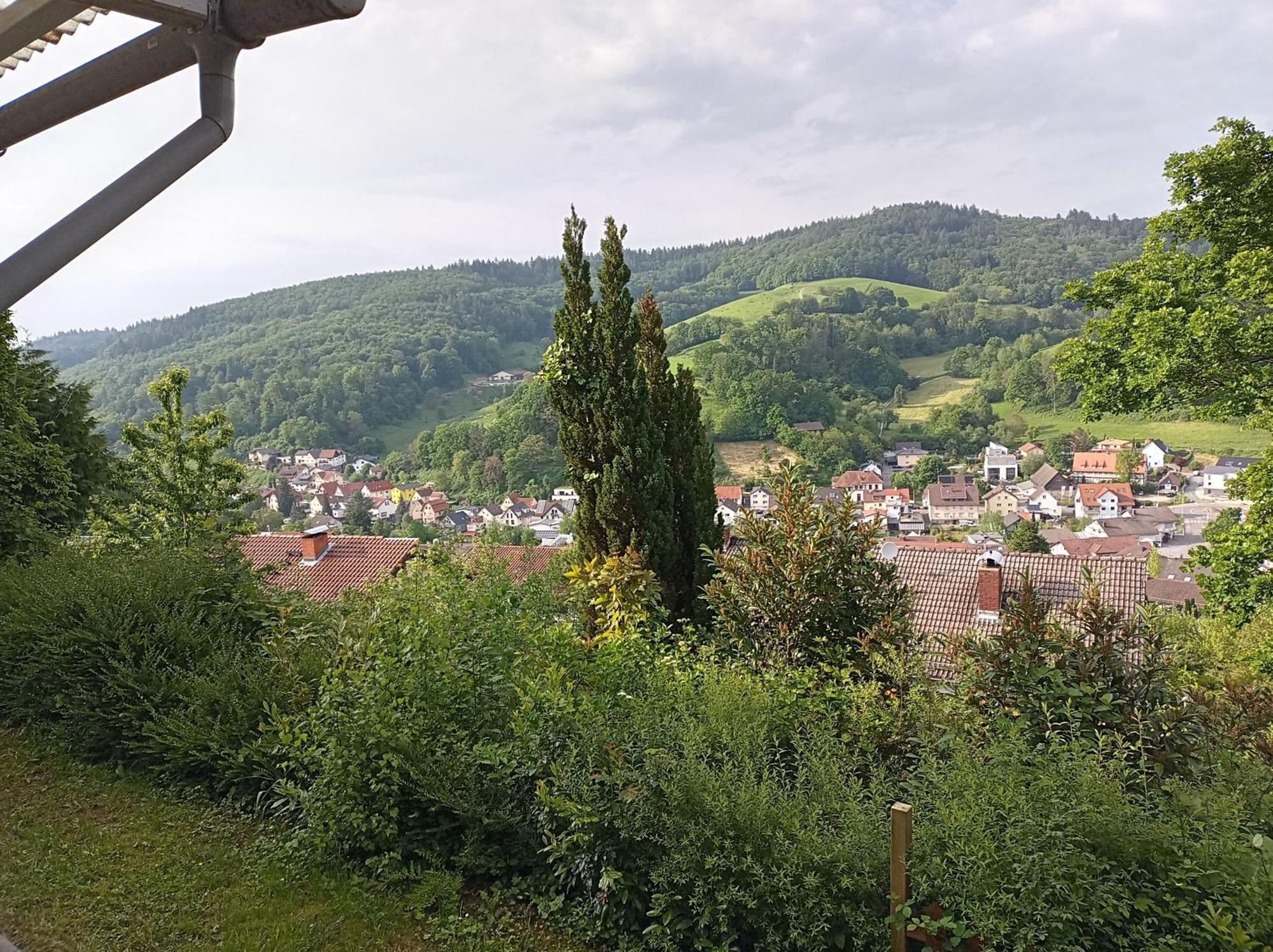 Das Tor Zum Odenwald Gorxheimertal Extérieur photo