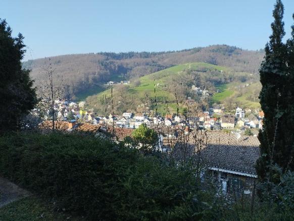 Das Tor Zum Odenwald Gorxheimertal Extérieur photo
